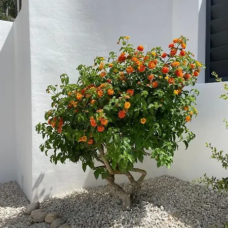 Casa Belle