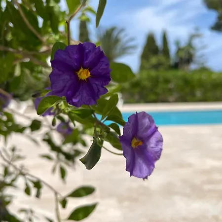 Villa Casa Belle *
