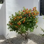 Casa Belle
