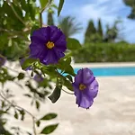 빌라 Casa Belle *