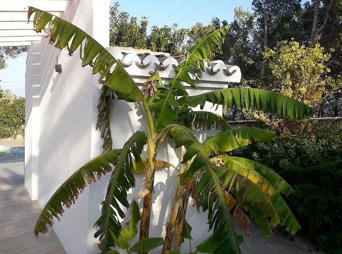 Casa Belle וילה *